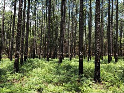 Seasonality of Biennial Burning Has No Adverse Effects on Mature Longleaf Pine Survival or Productivity